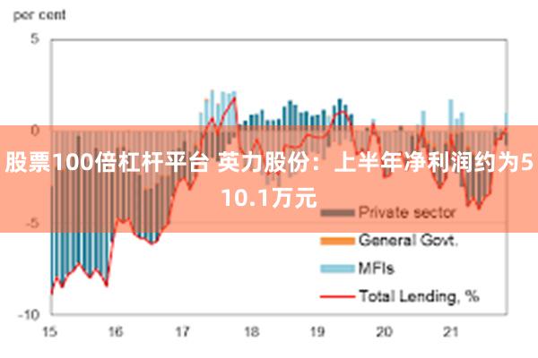 股票100倍杠杆平台 英力股份：上半年净利润约为510.1万元