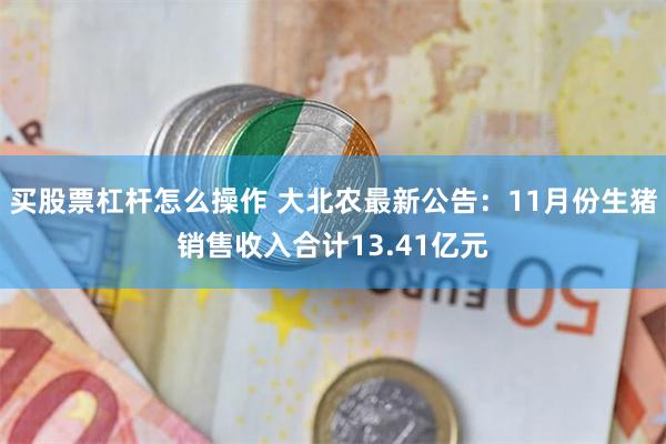买股票杠杆怎么操作 大北农最新公告：11月份生猪销售收入合计13.41亿元
