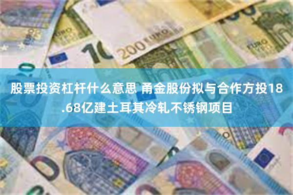 股票投资杠杆什么意思 甬金股份拟与合作方投18.68亿建土耳其冷轧不锈钢项目