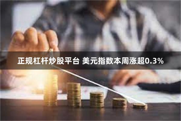 正规杠杆炒股平台 美元指数本周涨超0.3%