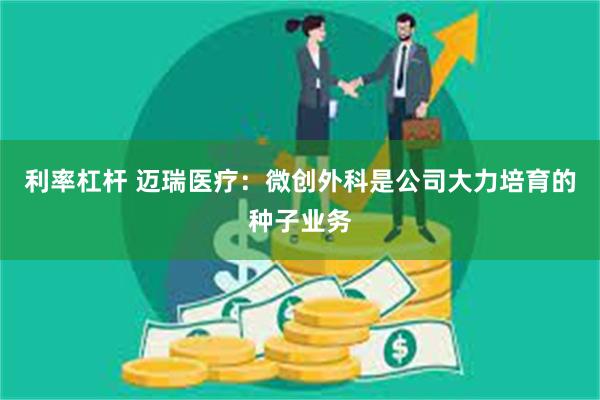 利率杠杆 迈瑞医疗：微创外科是公司大力培育的种子业务