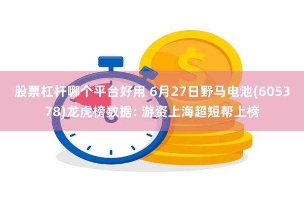 股票杠杆哪个平台好用 6月27日野马电池(605378)龙虎榜数据: 游资上海超短帮上榜