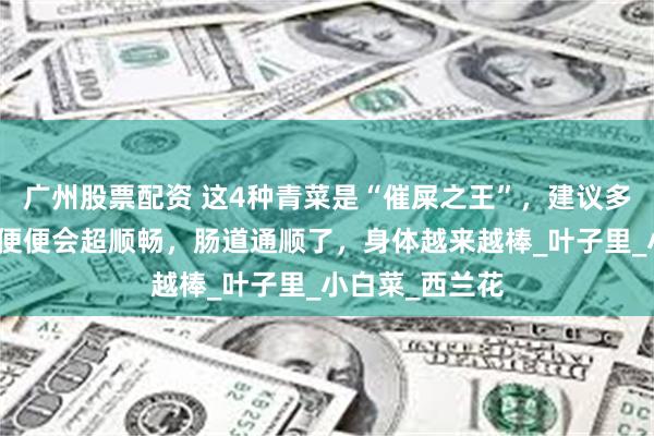 广州股票配资 这4种青菜是“催屎之王”，建议多做给孩子吃，便便会超顺畅，肠道通顺了，身体越来越棒_叶子里_小白菜_西兰花