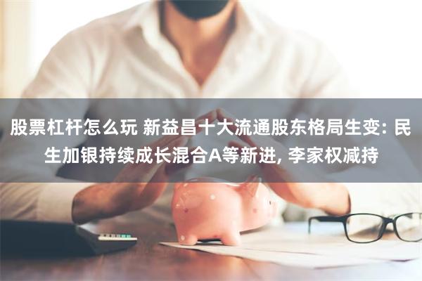 股票杠杆怎么玩 新益昌十大流通股东格局生变: 民生加银持续成长混合A等新进, 李家权减持